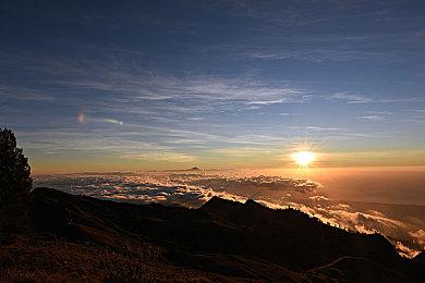 Epic喜加一：《沙贝》免费领取